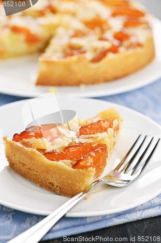 Image of Slice of apricot and almond pie
