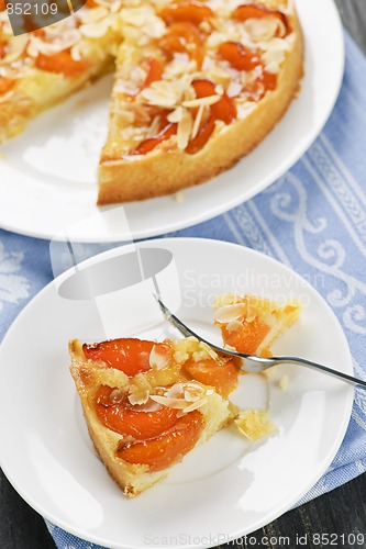 Image of Slice of apricot and almond pie