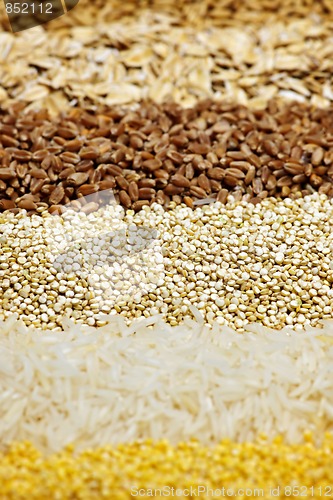 Image of Various grains close up