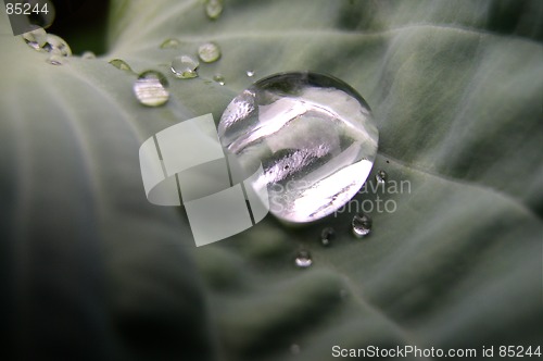 Image of Drop of Water