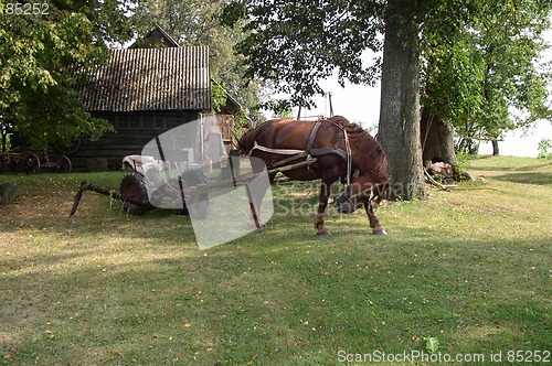 Image of Rural Landscape