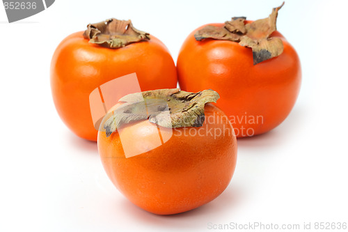 Image of The red persimmon