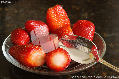Image of The strawberry