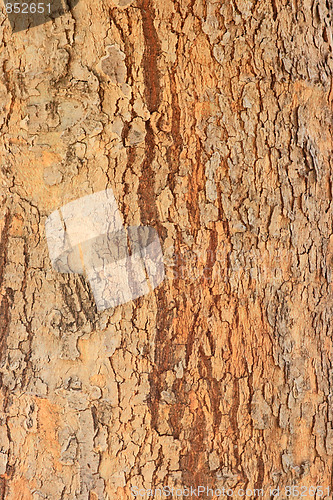 Image of Wooden texture