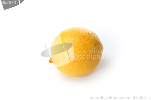 Image of The yellow lemon
