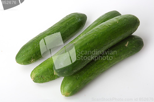 Image of Tasty kitchen. Fresh vegetables isolated on white