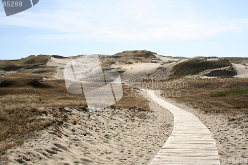 Image of Road into the Sand