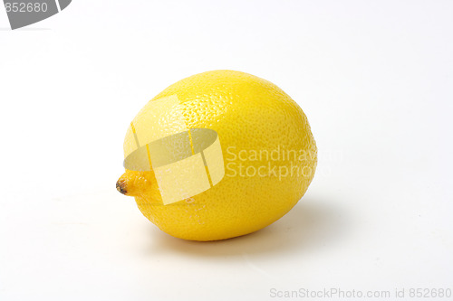 Image of The yellow lemon