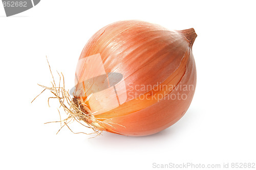 Image of Tasty kitchen. Fresh vegetables isolated on white