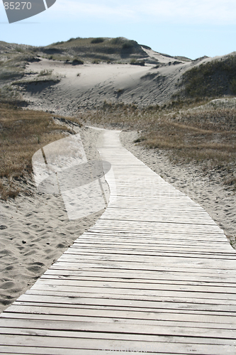 Image of Road into the Sand