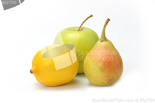 Image of The closeup of various fruits