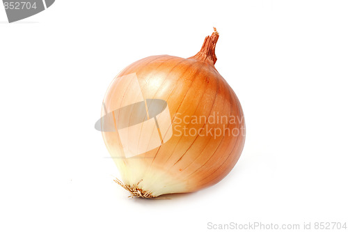 Image of Tasty kitchen. Fresh vegetables isolated on white