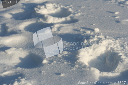 Image of Footprints on Snow