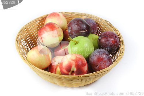 Image of The closeup of various fruits