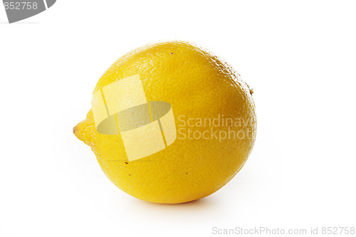 Image of The yellow lemon
