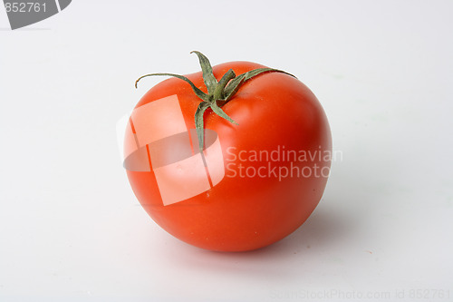 Image of The fresh red tomato 