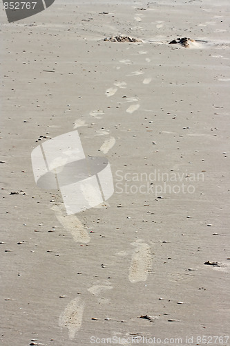 Image of The traces on the sand