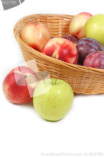 Image of The closeup of various fruits