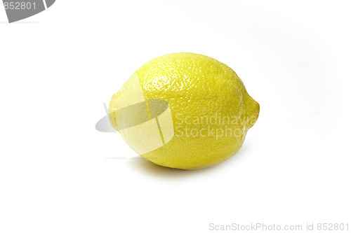 Image of The yellow lemon