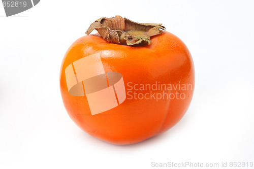 Image of The red persimmon