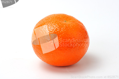 Image of Red mandarin