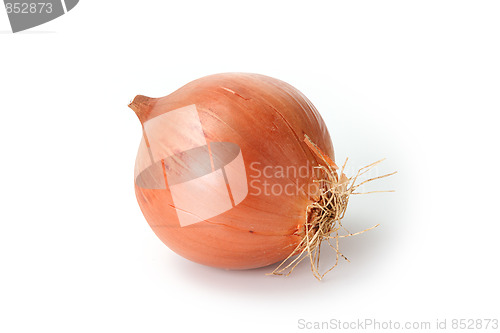 Image of Tasty kitchen. Fresh vegetables isolated on white