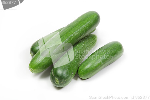 Image of Tasty kitchen. Fresh vegetables isolated on white