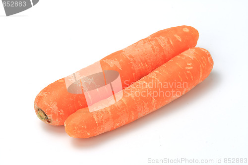 Image of The red carrot