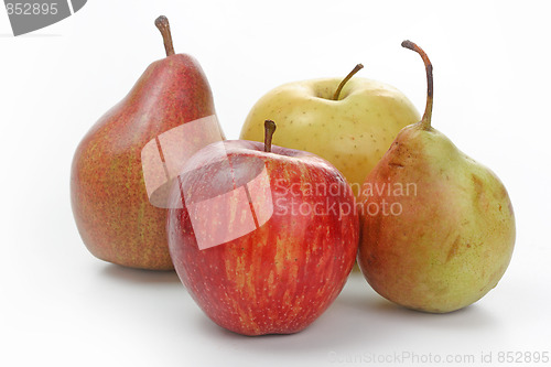 Image of The closeup of various fruits