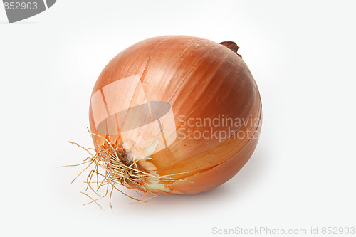 Image of Tasty kitchen. Fresh vegetables isolated on white