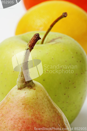 Image of The closeup of various fruits