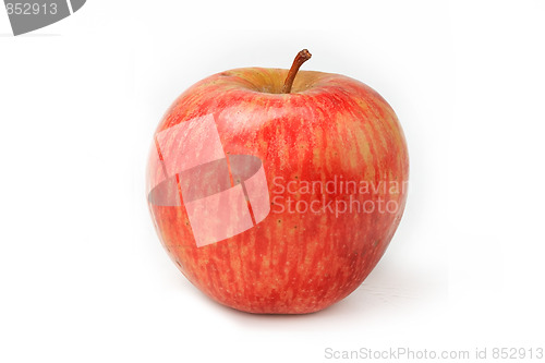 Image of Red apple