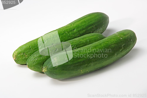 Image of Tasty kitchen. Fresh vegetables isolated on white