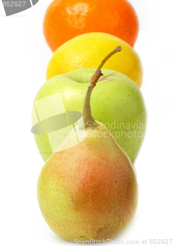 Image of The closeup of various fruits