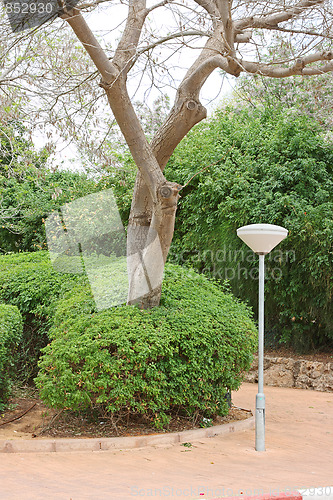 Image of The spring landscape