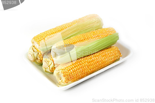 Image of Tasty kitchen. Fresh vegetables isolated on white