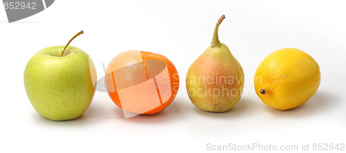 Image of The closeup of various fruits