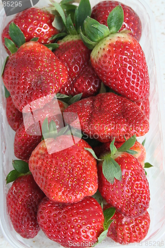 Image of Strawberry