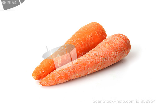 Image of The red carrot