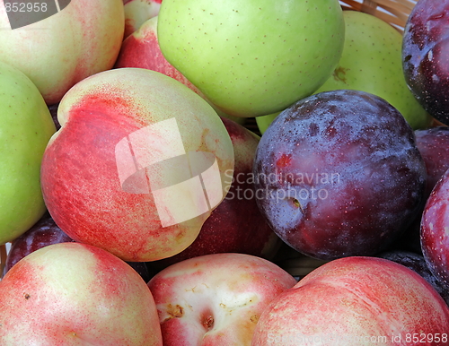 Image of The closeup of various fruits