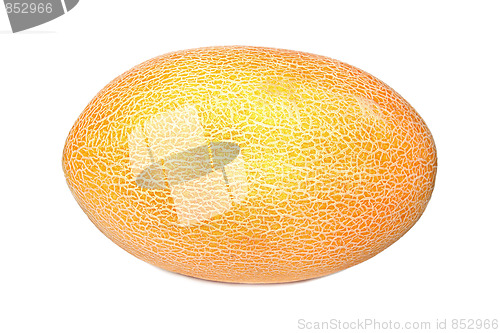 Image of Fresh tasty melon isolated on white background