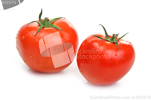 Image of Many tomatoes