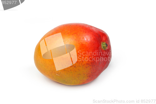 Image of Fresh mango