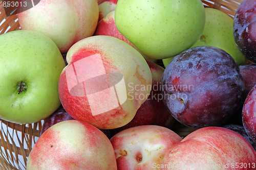 Image of The closeup of various fruits