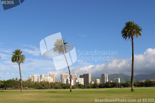 Image of Honolulu skyline