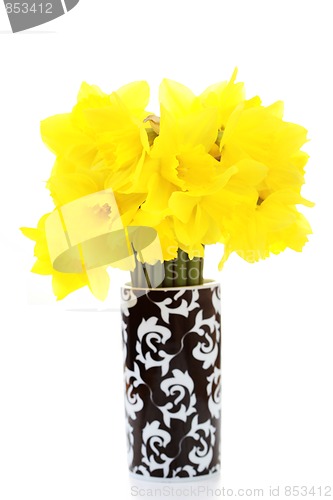 Image of daffodils