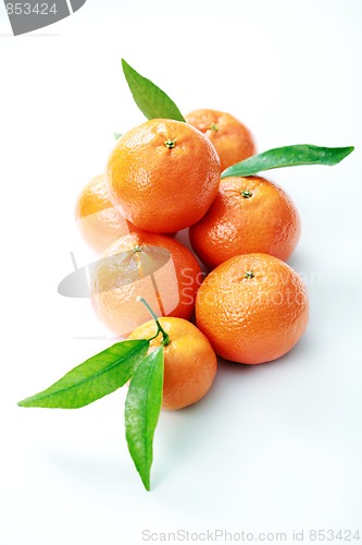 Image of tangerines