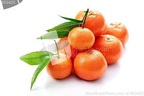 Image of tangerines