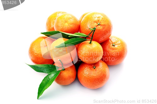 Image of tangerines