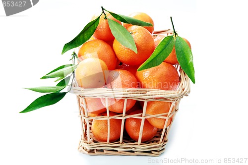 Image of tangerines